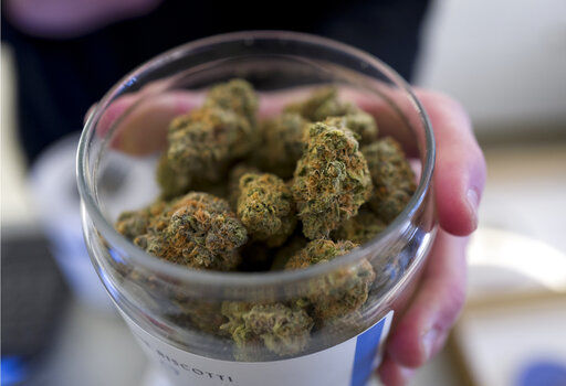Marijuana